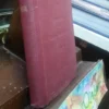 Liberalis O El Artista Victima De Las Enfermedades Sociales