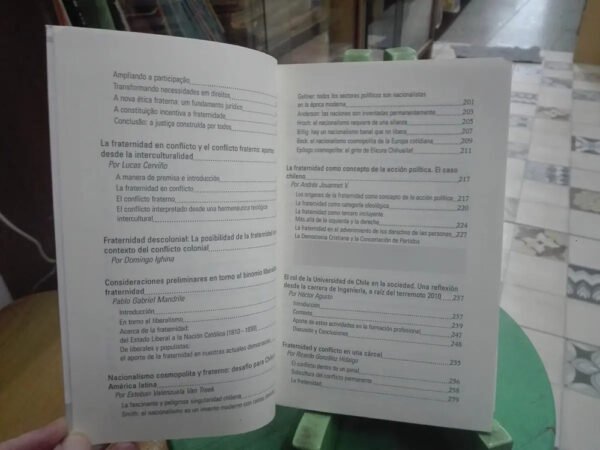 Fraternidad Y Conflicto Enfoques Debates Perspectivas Rivas