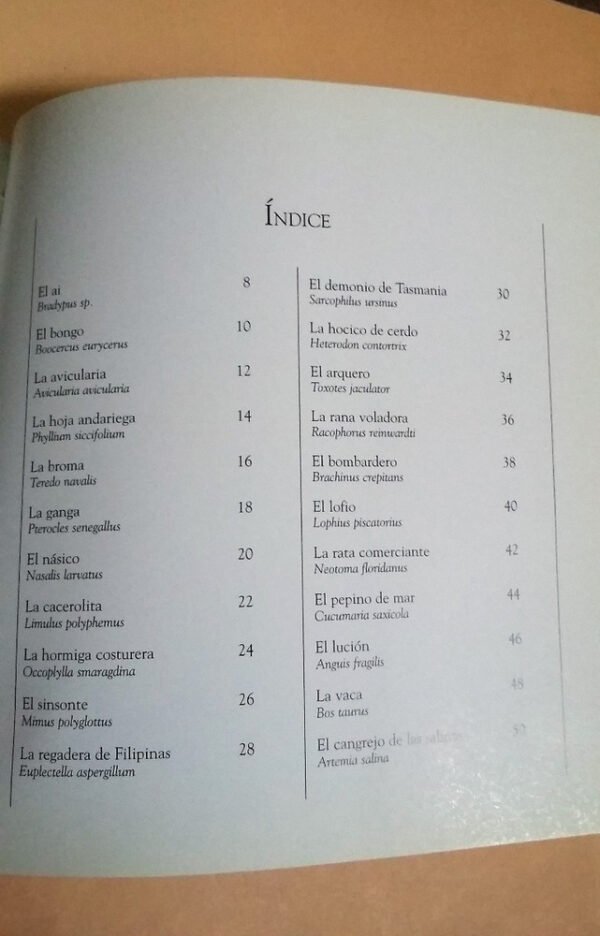 ¡qué Animales! - Ema Wolf