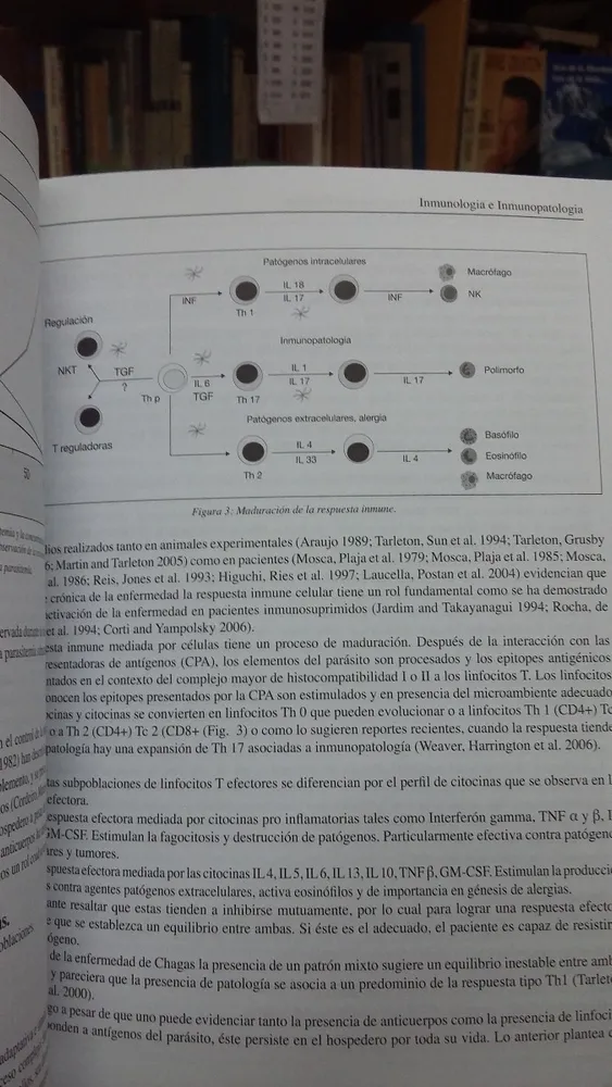 Enfermedad De Chagas Mazza En Las Grandes Ciudades - Giménez