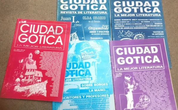 600037-MLA75439042134_042024 Ciudad Gótica Revistas Lote 5 Unidades