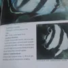Peces Del Archipiélago Los Roques - Ramirez H., Cervigón F.