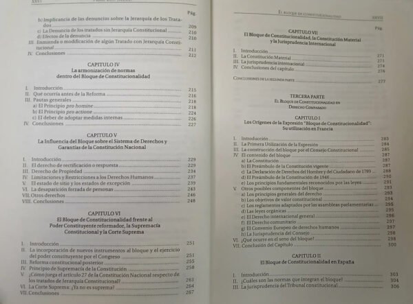 El Bloque De Constitucionalidad, Manili, Pablo Luis