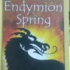 610427-MLA30848133309_052019 El Secreto De Endymion Spring - Mathew Skelton