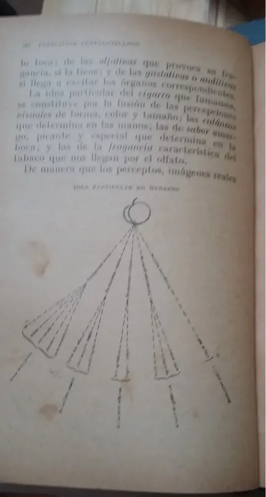 610894-MLA28621358446_112018 Interpretación, Alcances De Los Principios Pestalozzianos