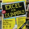 612270-MLA69510184433_052023 Excel For Dummies - Greg Harvey
