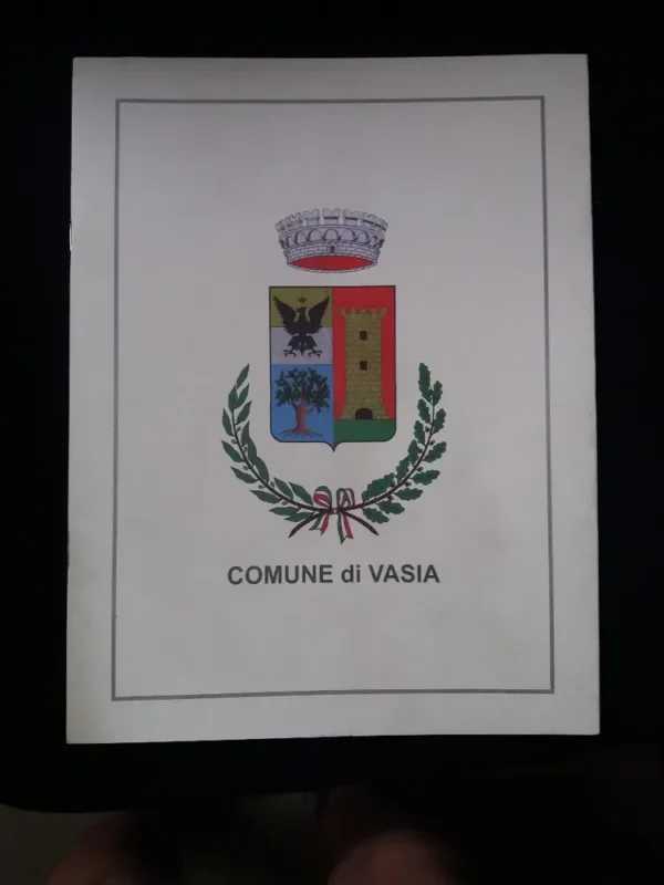 612814-MLA33025615129_112019 Comune Di Vasia - Archivo De Entrega Del Escudo De La Comuna