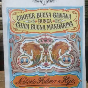 616326-MLA78355600150_082024 Chofer Buena Banana Busca Chica Buena Mandarina - N. Folino