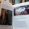Mi Gato. Guía Para El Cuidado Del Gato - Ángela Gair -