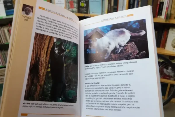 Mi Gato. Guía Para El Cuidado Del Gato - Ángela Gair -