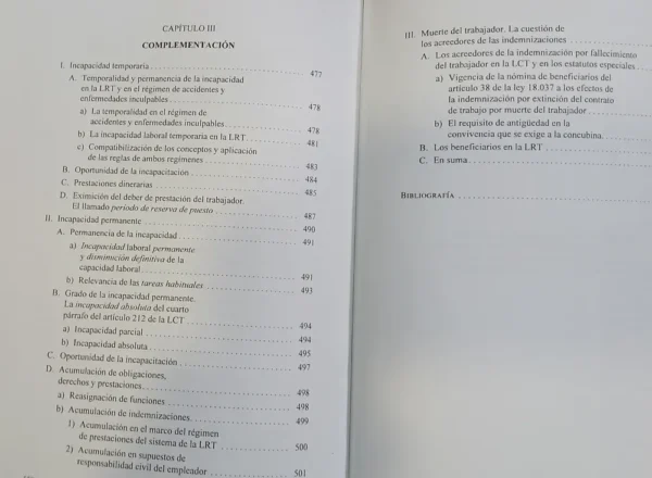 Tratado De Decho Del Trabajo Vi-a Vi-b M. Ackerman, D. Tosca