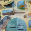 Yo Me Pregunto... Los Animales - Usborne - Mentes Curiosas