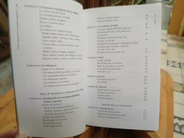 Reiki - Recuperar La Energía Sanadora - Mauricio López Lumi