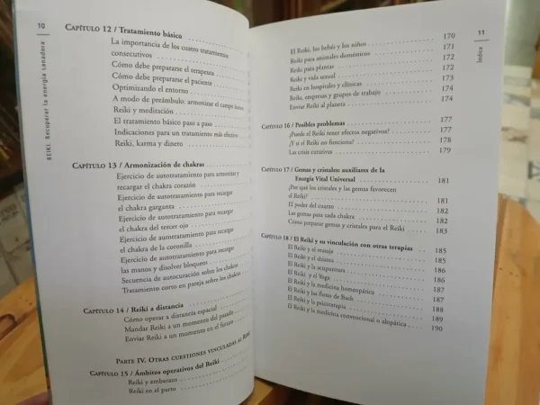 Reiki - Recuperar La Energía Sanadora - Mauricio López Lumi