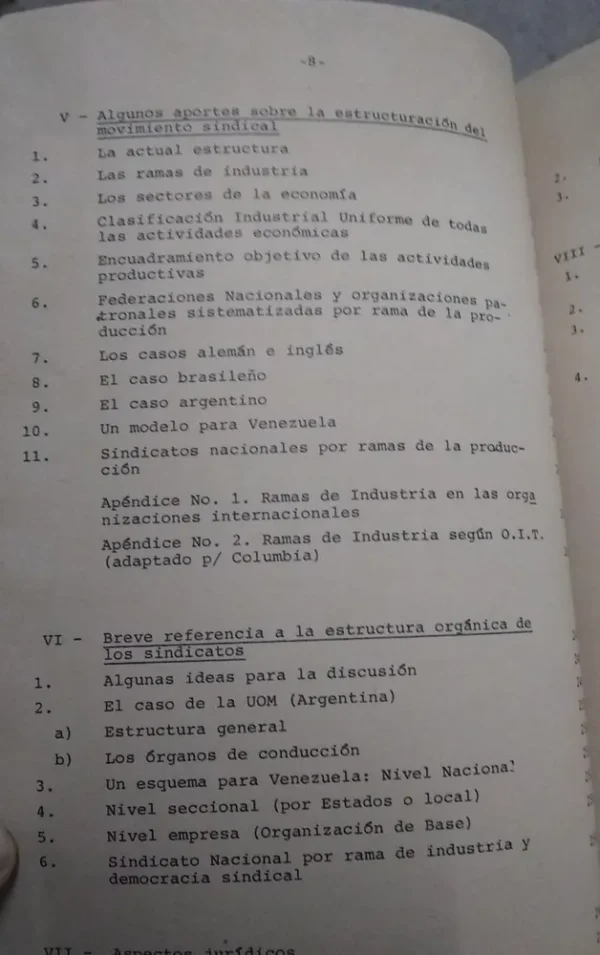 El Sindicato Nacional Por Rama De Industria En Venezuela