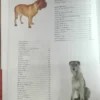 La Biblia De Los Perros Conociendo Todo Sobre Ellos. Con Dvd