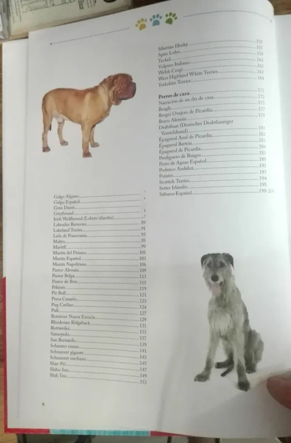 La Biblia De Los Perros Conociendo Todo Sobre Ellos. Con Dvd