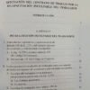 Tratado De Decho Del Trabajo Vi-a Vi-b M. Ackerman, D. Tosca