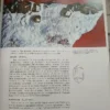Guía Minerales Y Rocas Fósiles - Aguilar