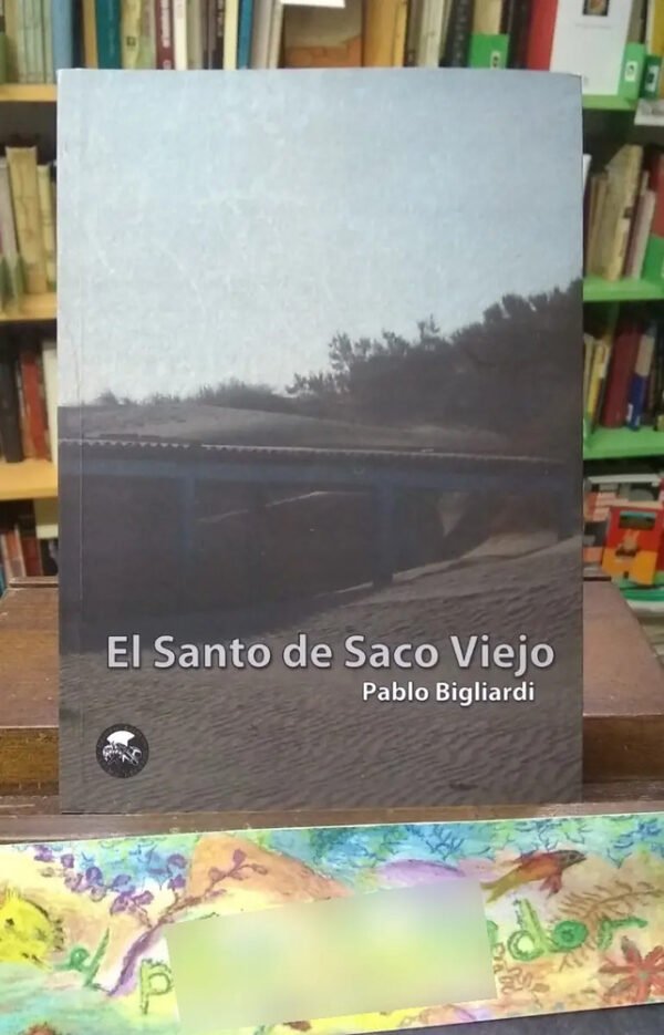 651356-MLA74385638888_022024 El Santo De Saco Viejo - Pablo Bigliardi