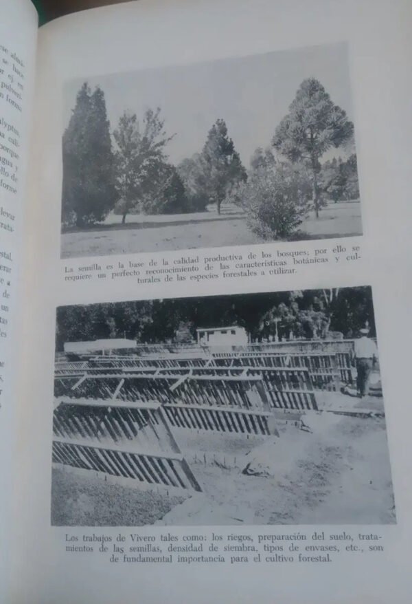 651533-MLA32842703579_112019 Manejo Y Mejoramiento Del Bosque Cultivado - Unl Y Mag