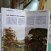 Guía De Campo De La Naturaleza Pat Morris Blume España 1991