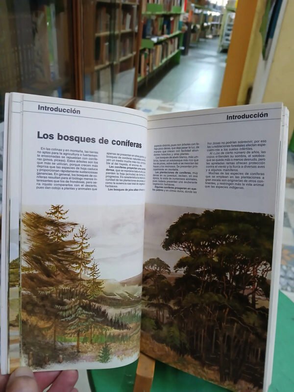 Guía De Campo De La Naturaleza Pat Morris Blume España 1991