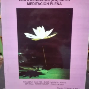 Los 9 Senderos (do) De La Meditación Plena - Teodoro Amici
