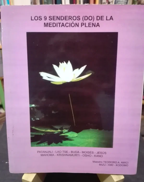 Los 9 Senderos (do) De La Meditación Plena - Teodoro Amici