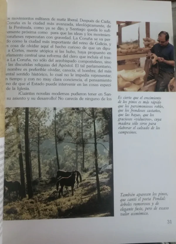 Santiago De Rosalía Castro - Gonzalo Torrente Ballester