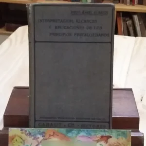 Interpretación, Alcances De Los Principios Pestalozzianos
