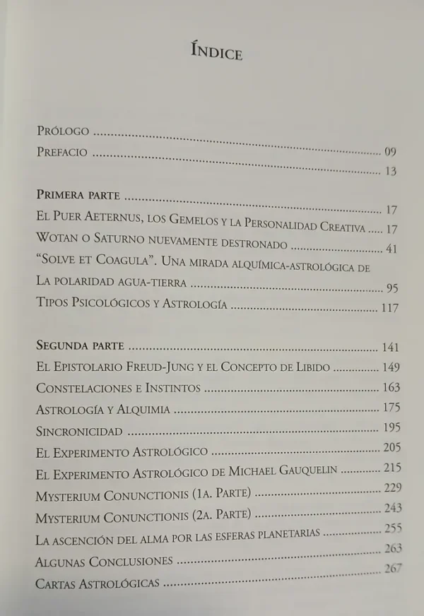 672977-MLA103365119422_012026 Influencia Astrología En Pensamiento Jung - A. R. Chislovsky