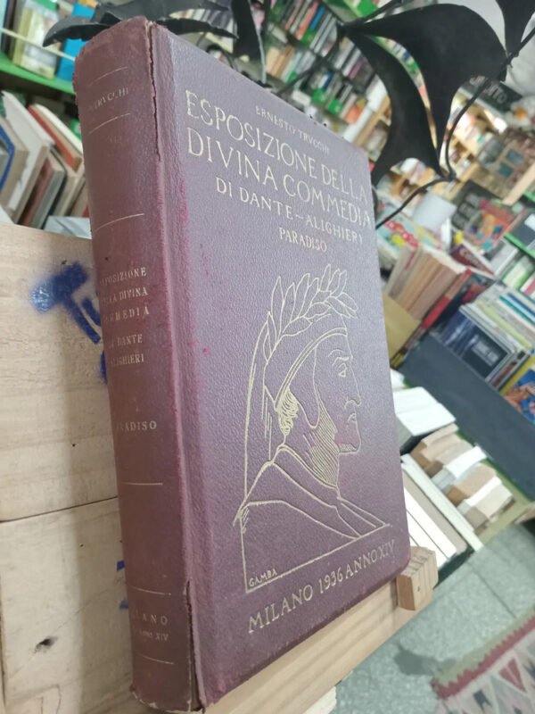 Exposizione Della Divina Commedia, Paradiso