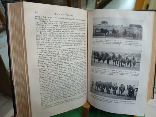 675360-MLA81939530465_012025 Feeds And Feeding For The Stockman Morrison 20a Ed En Inglés