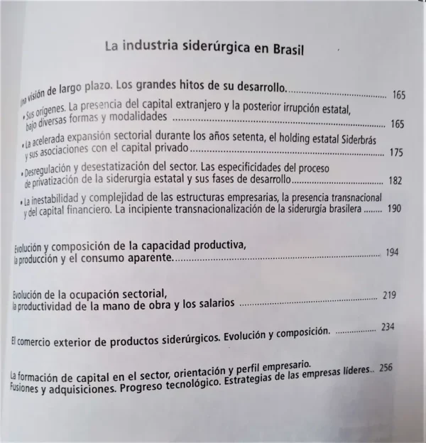 684650-MLA53109586332_122022 La Industria Siderúrgica En Argentina Y Brasil Durante