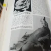 4 Tomos (1-2-3-4) Historia Del Arte José Pijoán Salvat 1961