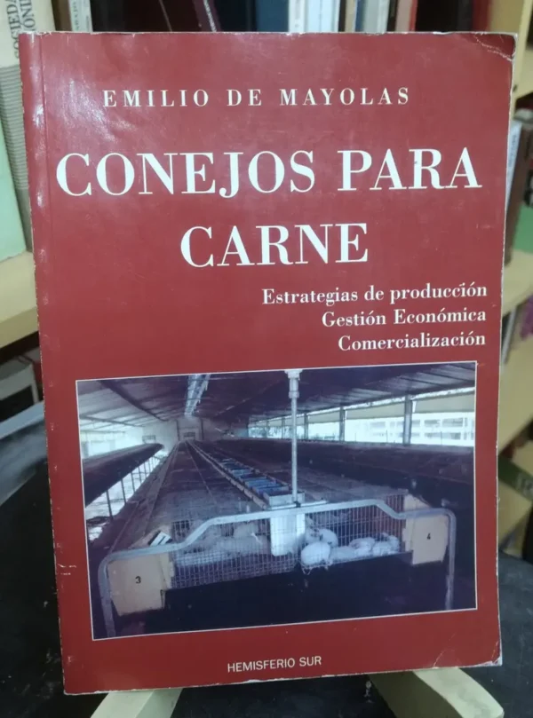 698828-MLA76481948108_052024 Conejos Para Carne - Producción, Gestión - Emilio De Mayolas
