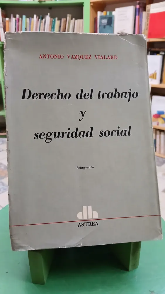 Derecho Del Trabajo Y Seguridad Social - Vázquez Vialard