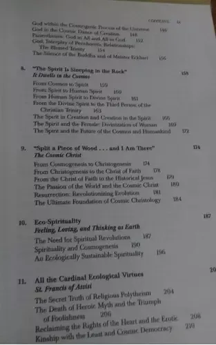 Cry Of The Earth Cry Of The Poor - Leonardo Boff (en Inglés)