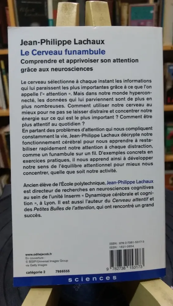Le Cerveau Funambule - Jean-philippe Lachaux