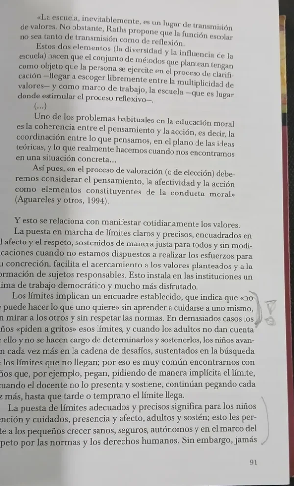 Las Prácticas Actuales En La Educación Inicial/ Laura Pitluk