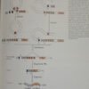 Biología Celular Y Molecular - Lodish - Berk - Y Otros