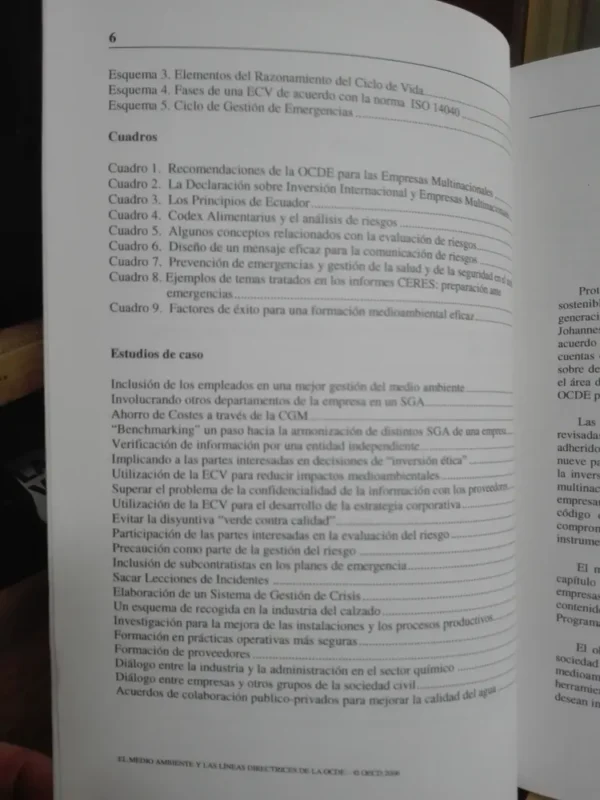 El Medio Ambiente Y Las Líneas Directrices De Ocde. Empresas