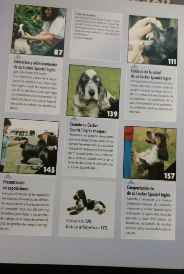Cocker Spaniel Inglés - H. Van Wessem
