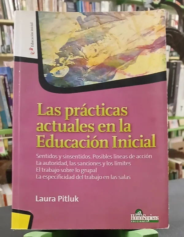 Las Prácticas Actuales En La Educación Inicial/ Laura Pitluk