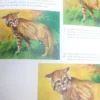 737670-MLA74695689742_022024 Atlas Ilustrado De Pintura - Susaeta