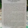 El Erotismo Y Su Sombra -  Enrique Carpintero