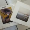 Pinturas - Franulic - Laminas