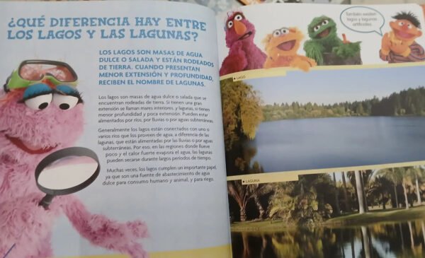746497-MLA84678087880_052025 Lote 15 Números: Plaza Sésamo El Libro De Las Preguntas 2007