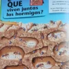 749771-MLA106183492705_012026 Donde Viven Los Animales - Teresita Valdettaro Dirección